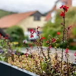 Weinbergblick Appartement Ebringen