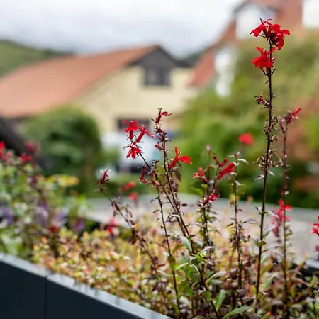 Apartman Weinbergblick